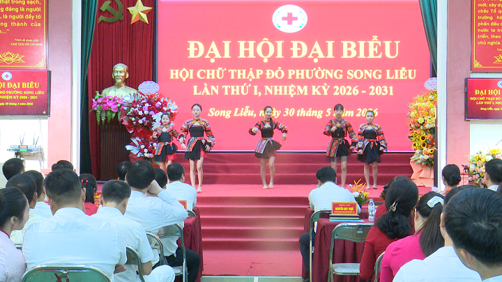 ĐẠI HỘI ĐẠI BIỂU HỘI CHỮ THẬP ĐỎ PHƯỜNG SONG LIỄU LẦN THỨ I BẦU 23 ĐỒNG CHÍ VÀO BAN CHẤP HÀNH NHIỆM KỲ MỚI